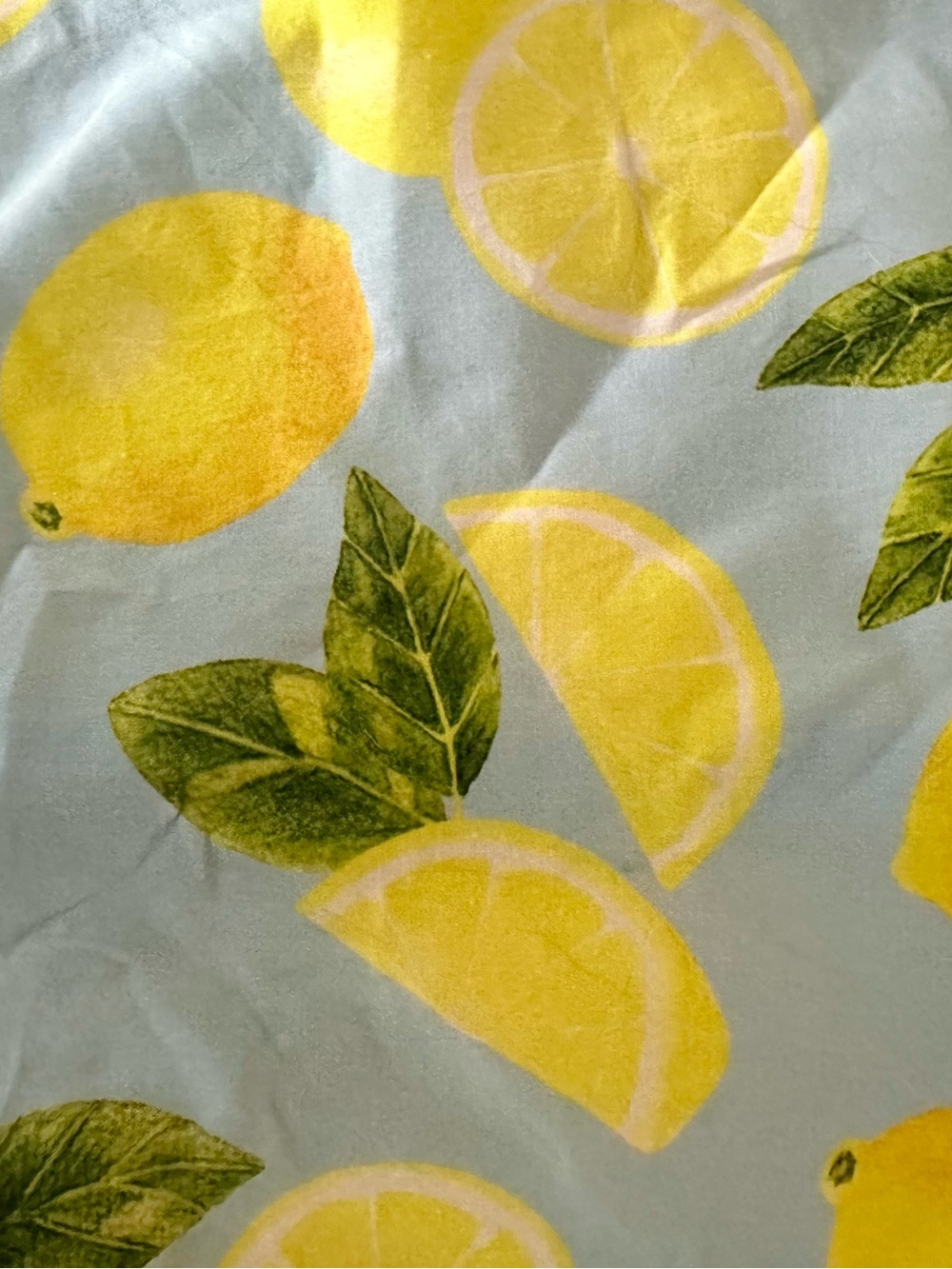 Hidden Lillium-Sleeveless Verona Light Blue Lemon Print Midi Dress - Picture 12 of 12